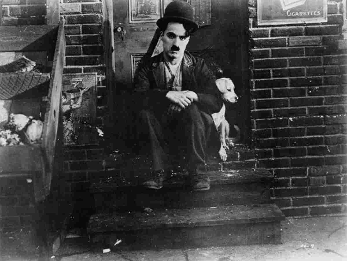 Chaplin Charlie A Dogs Life z6 film star poster A4 Photo Print