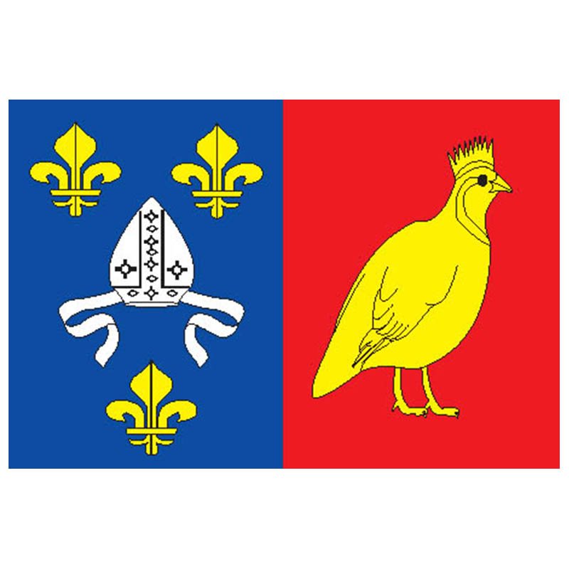 Charentemaritime Dep Flag N2920 A4 Photo Print
