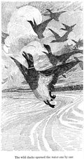 Charles Robinson 3187 Vintage Illustration A4 Photo Print