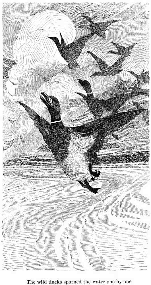 Charles Robinson 3187 Vintage Illustration A4 Photo Print