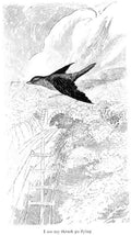 Charles Robinson 3188 Vintage Illustration A4 Photo Print