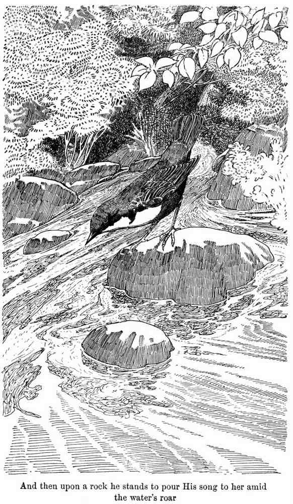 Charles Robinson 3191 Vintage Illustration A4 Photo Print