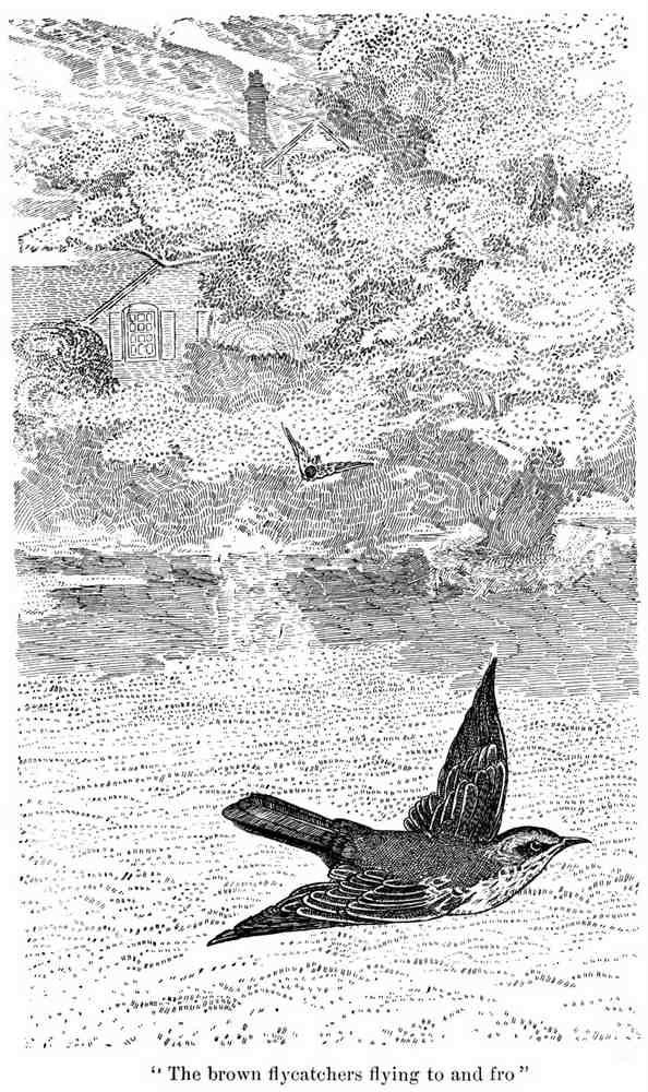 Charles Robinson 3192 Vintage Illustration A4 Photo Print