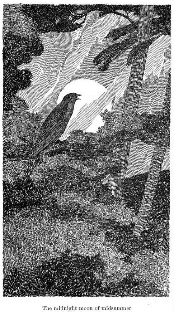 Charles Robinson 3195 Vintage Illustration A4 Photo Print