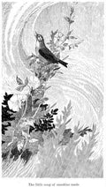 Charles Robinson 3197 Vintage Illustration A4 Photo Print