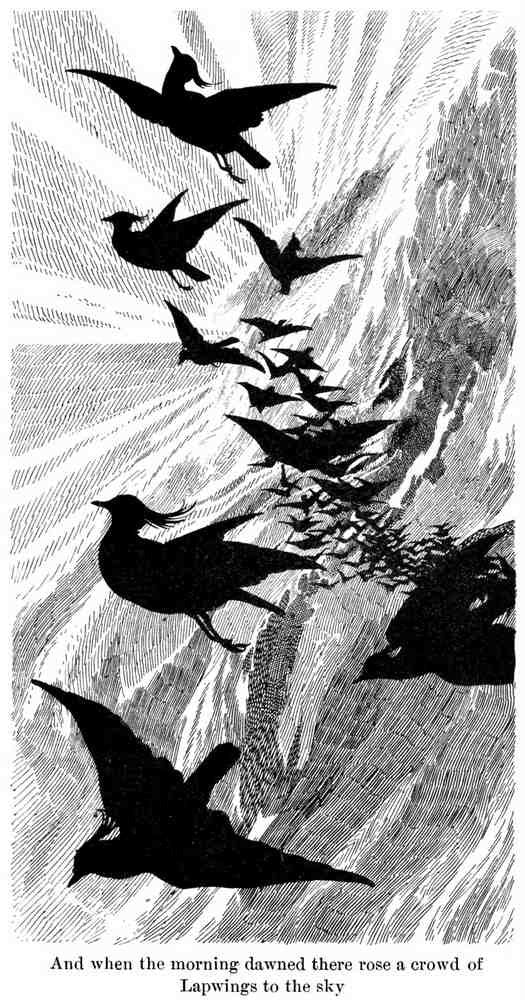 Charles Robinson 3199 Vintage Illustration A4 Photo Print