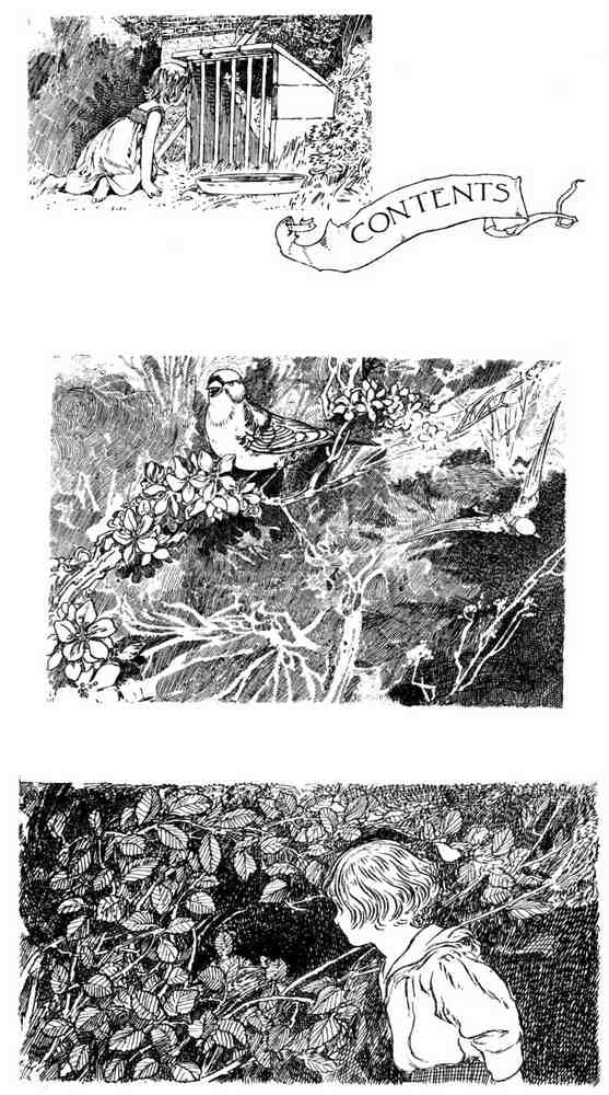 Charles Robinson 3201 Vintage Illustration A4 Photo Print