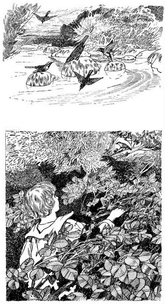Charles Robinson 3202 Vintage Illustration A4 Photo Print