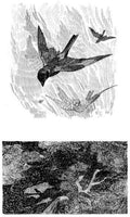 Charles Robinson 3203 Vintage Illustration A4 Photo Print