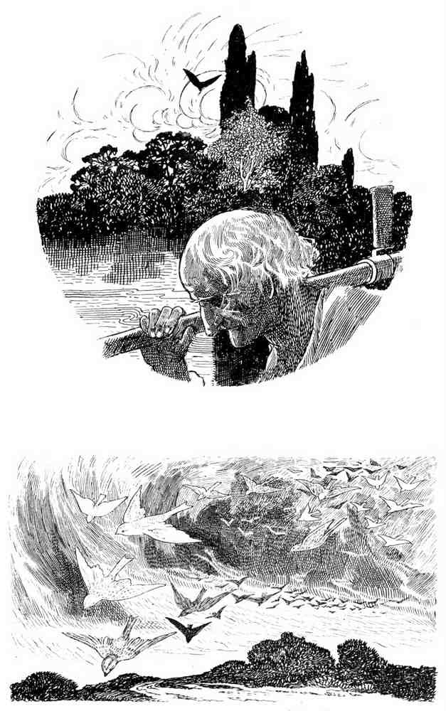 Charles Robinson 3204 Vintage Illustration A4 Photo Print