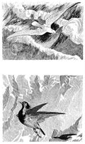 Charles Robinson 3205 Vintage Illustration A4 Photo Print