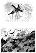 Charles Robinson 3206 Vintage Illustration A4 Photo Print