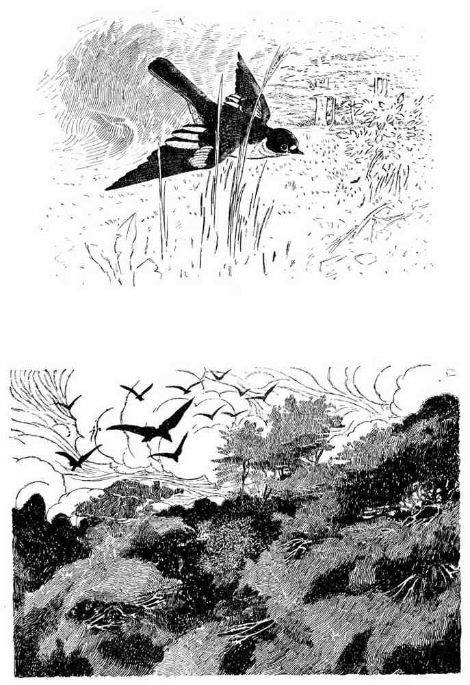 Charles Robinson 3206 Vintage Illustration A4 Photo Print