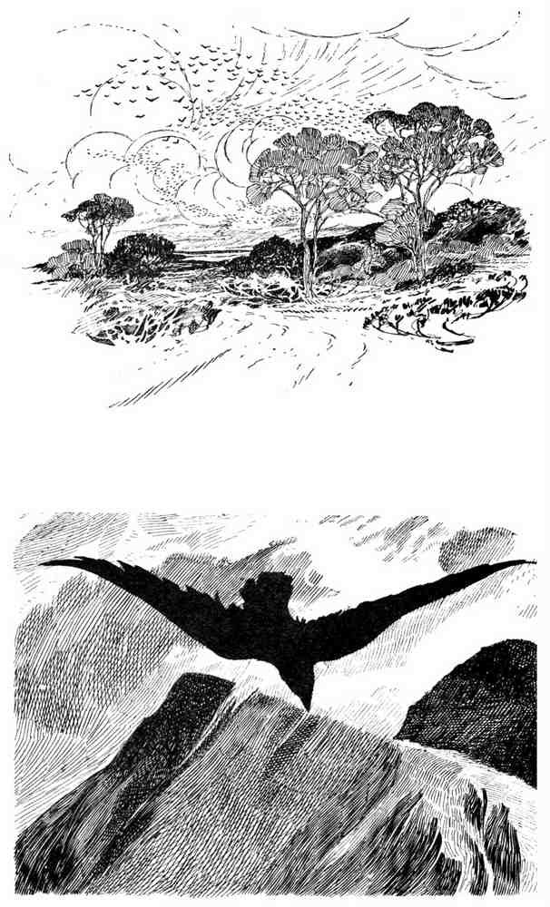 Charles Robinson 3208 Vintage Illustration A4 Photo Print