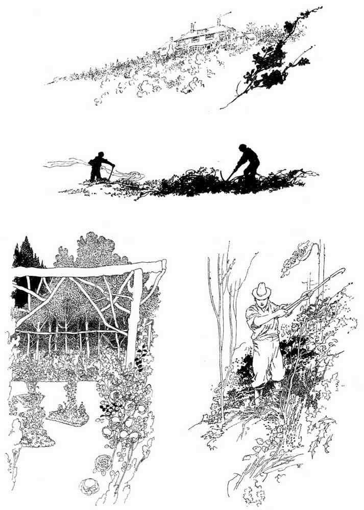 Charles Robinson 4085 Vintage Illustration A4 Photo Print