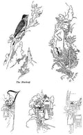 Charles Robinson 4140 Vintage Illustration A4 Photo Print