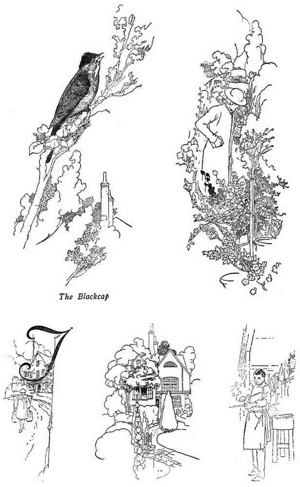 Charles Robinson 4140 Vintage Illustration A4 Photo Print