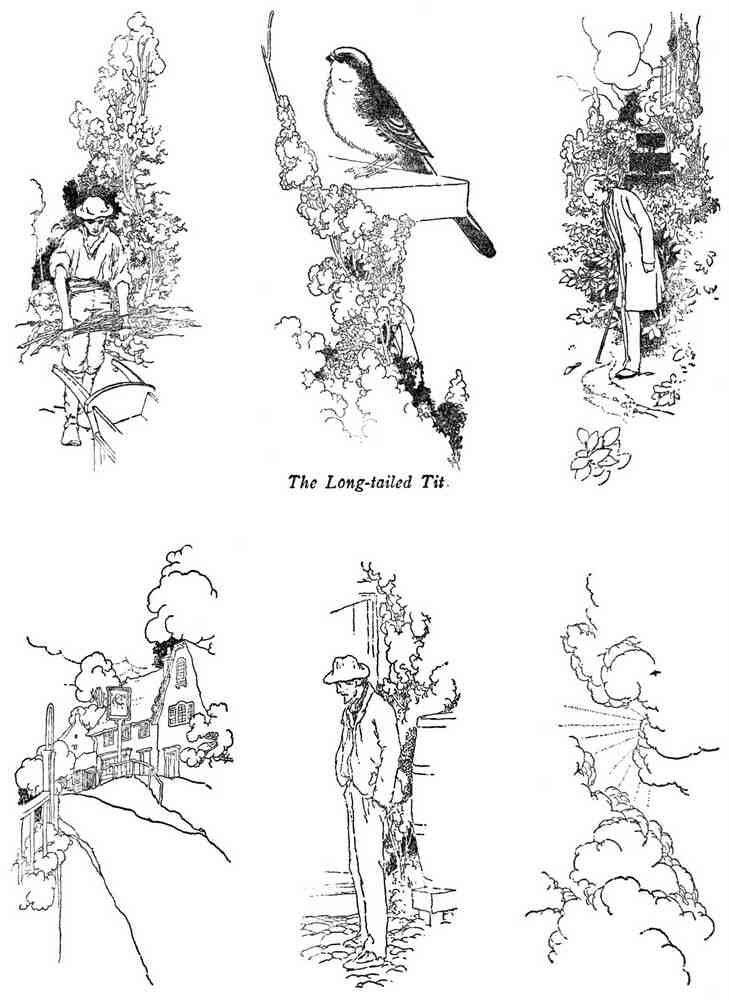 Charles Robinson 4141 Vintage Illustration A4 Photo Print
