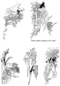 Charles Robinson 4144 Vintage Illustration A4 Photo Print