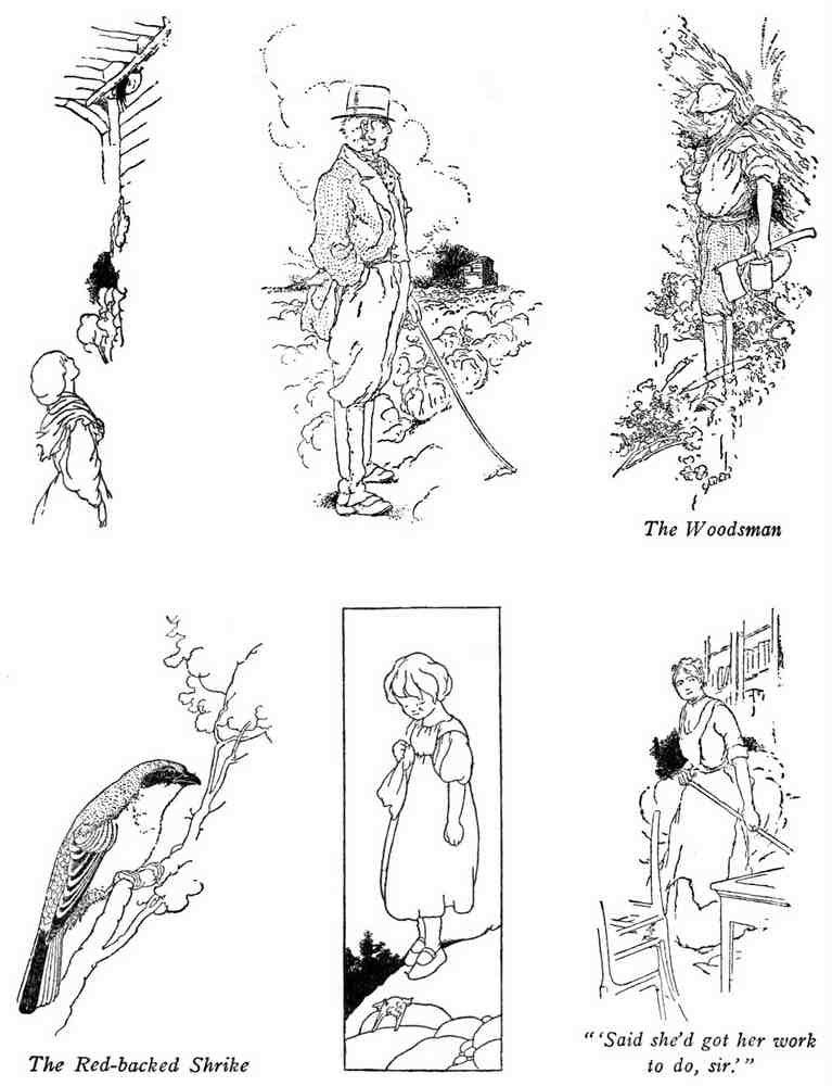 Charles Robinson 4152 Vintage Illustration A4 Photo Print