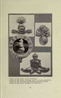 Chats on Military Curios Page 030 Vintage War A4 Photo Print
