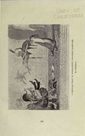 Chats on Military Curios Page 155 Vintage War A4 Photo Print