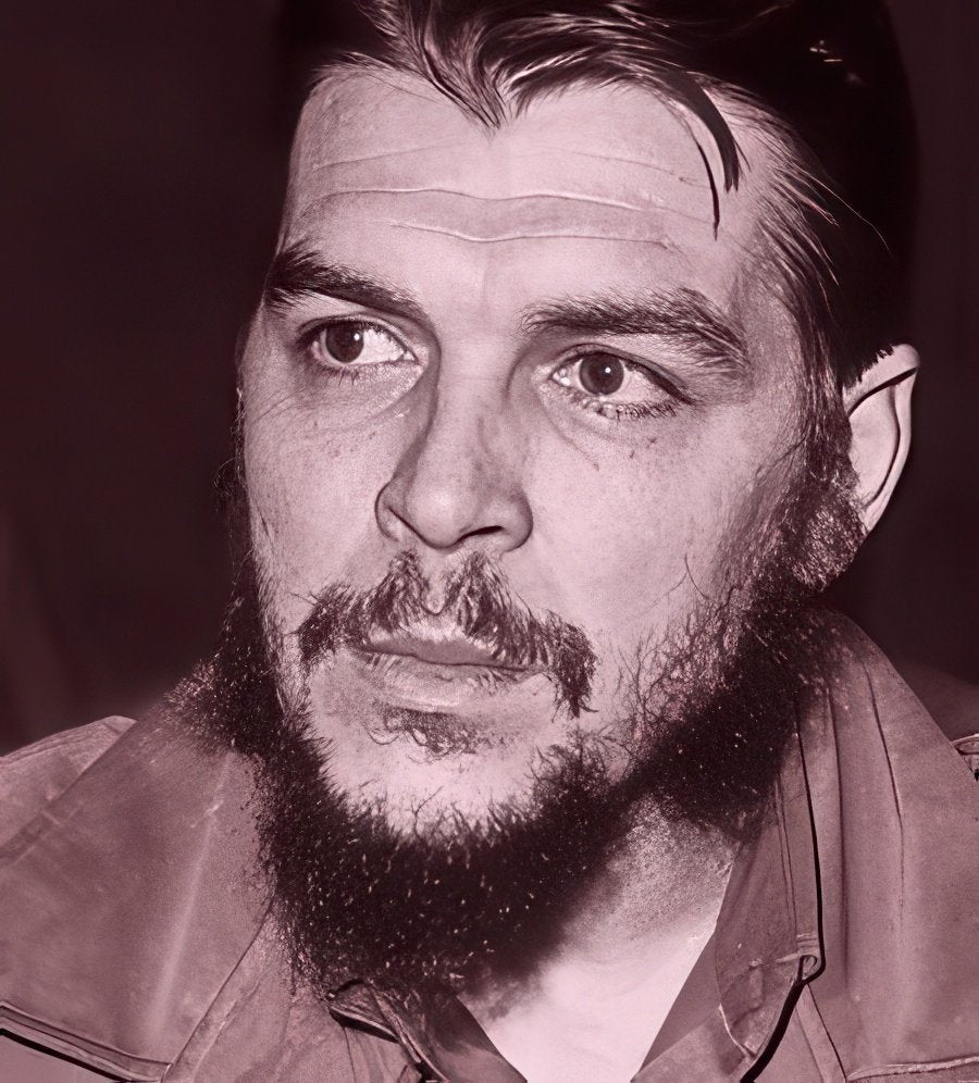 Che Guevara 230 A4 Photo Print
