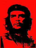 Che Guevara 240 A4 Photo Print