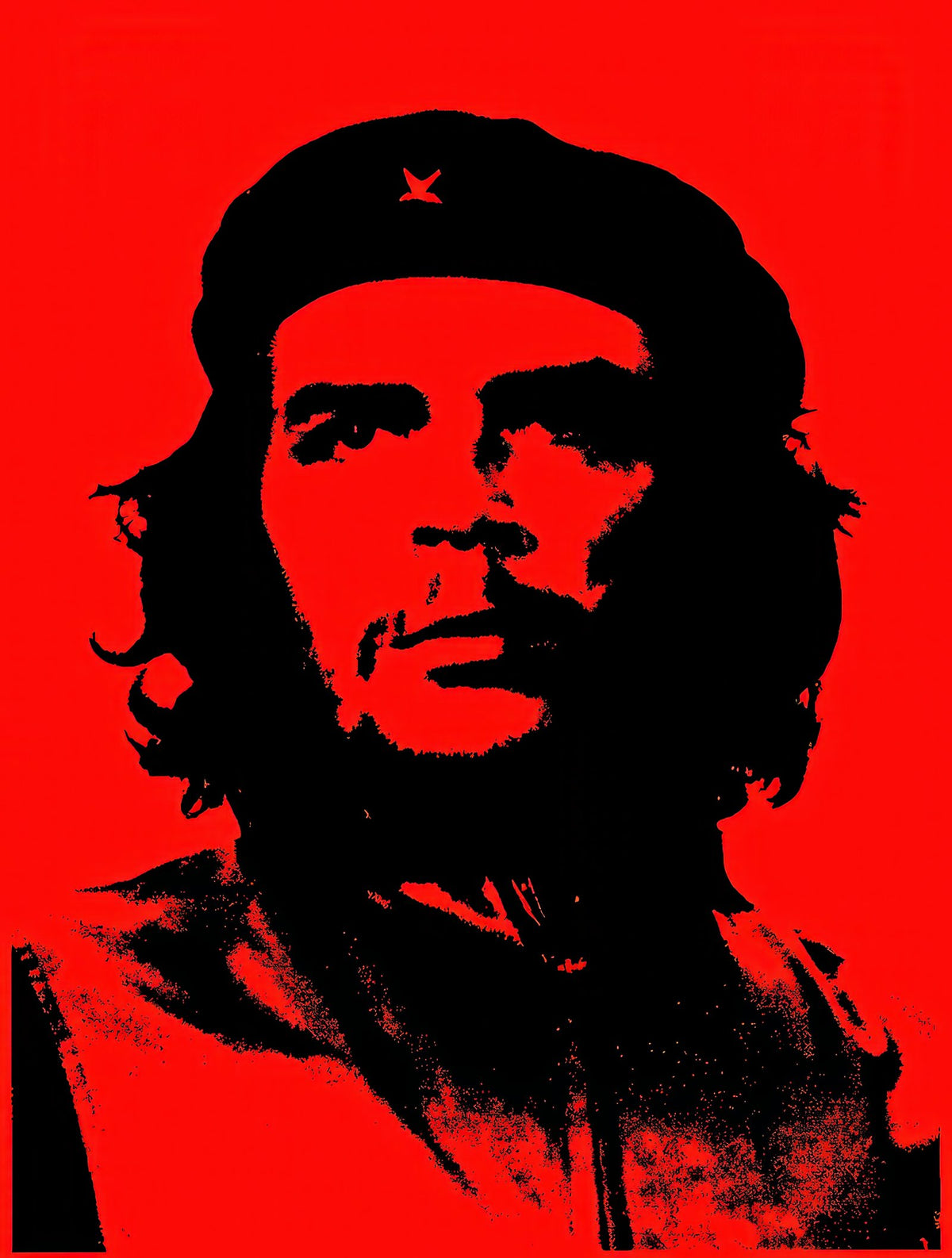 Che Guevara 240 A4 Photo Print