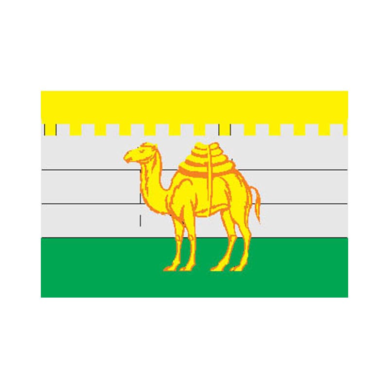 Chelyabinsk City Flag N495 A4 Photo Print