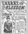 Cherry Blossom Perfume Vintage Retro Advert Poster A4 Photo Print