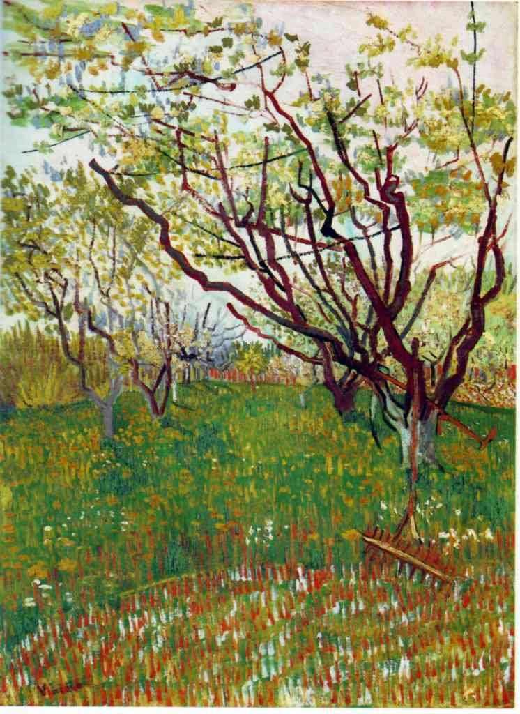 Cherry Tree  Van Gogh A4 Photo Print