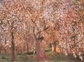Cherry Tree Blooms Joseph Ripplronai Symbolism A4 Photo Print