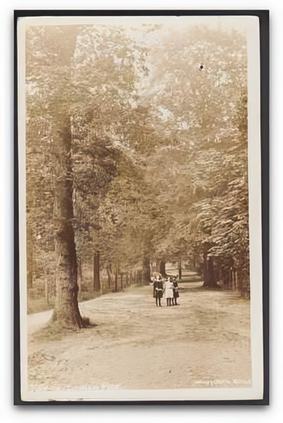 Cheshire Altringham Dunham Park The Walk 3 Cute Girls Pose On Path Vintage A4 Photo Print