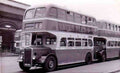 Cheshire Birkenhead Bus 1950s Vintage A4 Photo Print