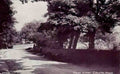 Cheshire West Kirby Column Road 1920s Vintage A4 Photo Print