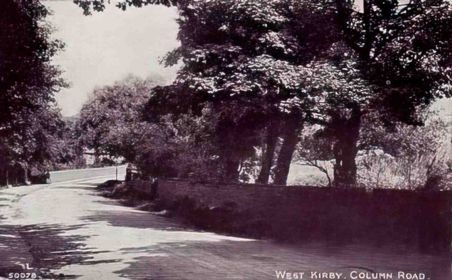 Cheshire West Kirby Column Road 1920s Vintage A4 Photo Print