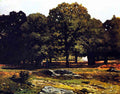 Chestnut Avenue In La Cellesaintcloud Sisley Impressionism A4 Photo Print