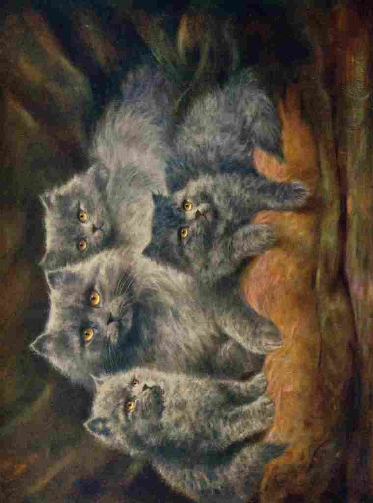 Cheviot Lilian 1884 1932  Wonder Book of Pets Persian Cats A4 Photo Print