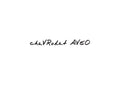 Chevrolet Aveo A4 Photo Print