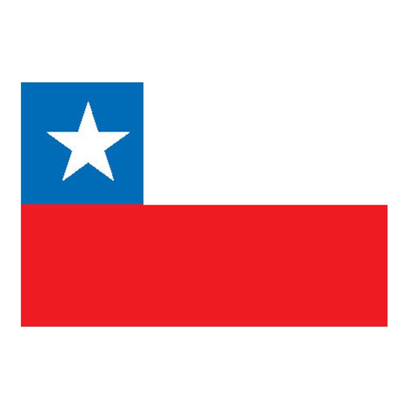 Chili Flag N1806 A4 Photo Print