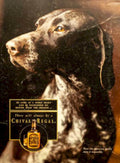 Chivas Regal Pointer Vintage Retro Advert Poster A4 Photo Print
