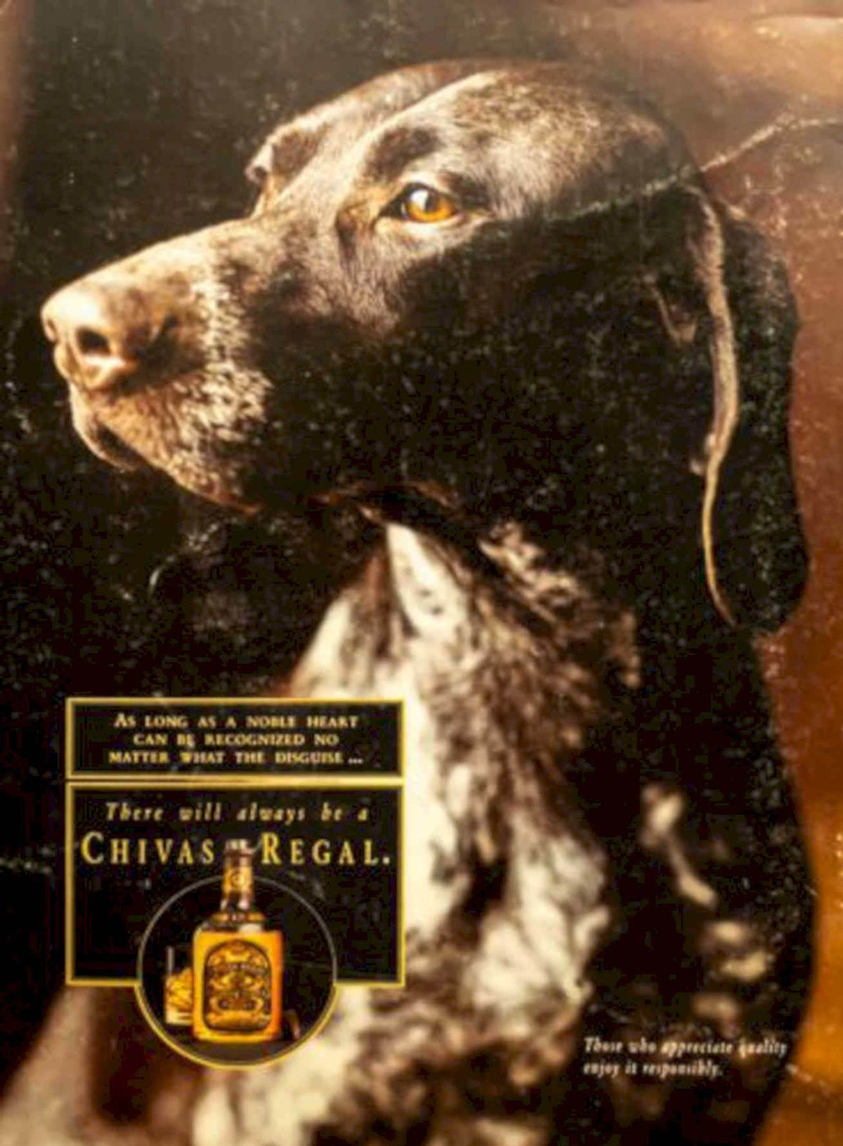 Chivas Regal Pointer Vintage Retro Advert Poster A4 Photo Print