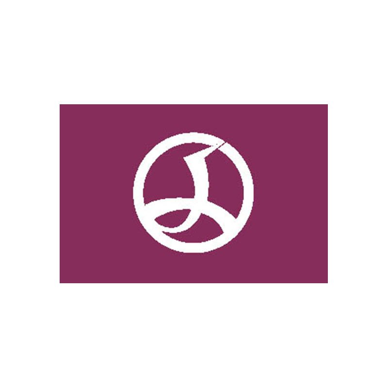 Chiyoda Ku Flag N2366 A4 Photo Print