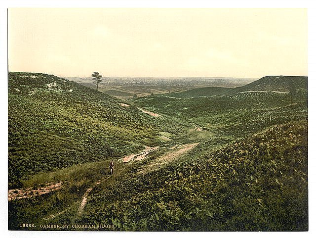 Chobham Ridges Camberley Vintage A4 Photo Print