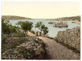 Cigale Istria Vintage A4 Photo Print