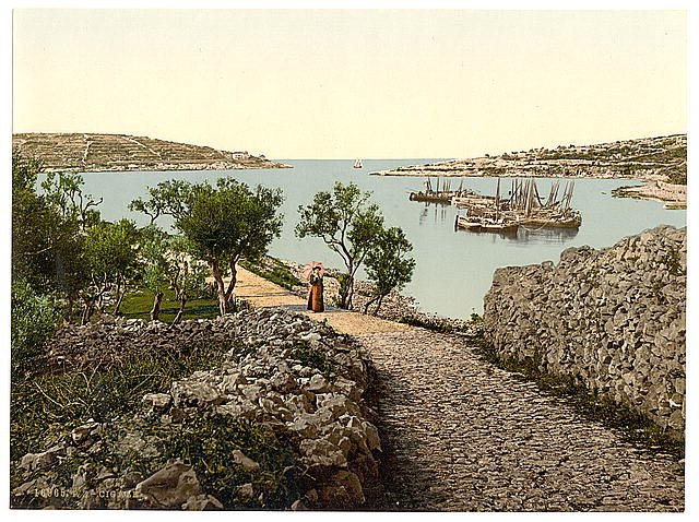 Cigale Istria Vintage A4 Photo Print