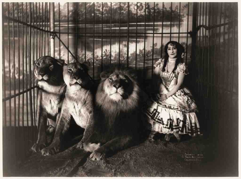 Circus Adjie And The Lions 1899 Vintage A4 Photo Print