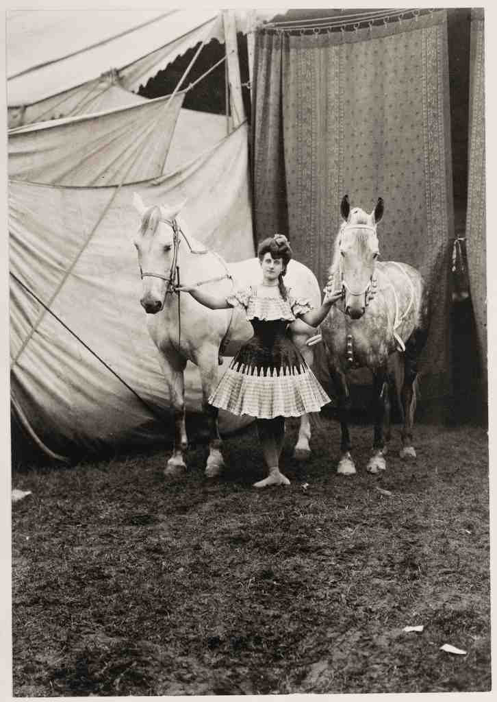 Circus Bareback Rider 1904 Vintage A4 Photo Print