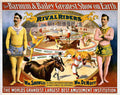 Circus Barnum Bailey 1895c Vintage A4 Photo Print